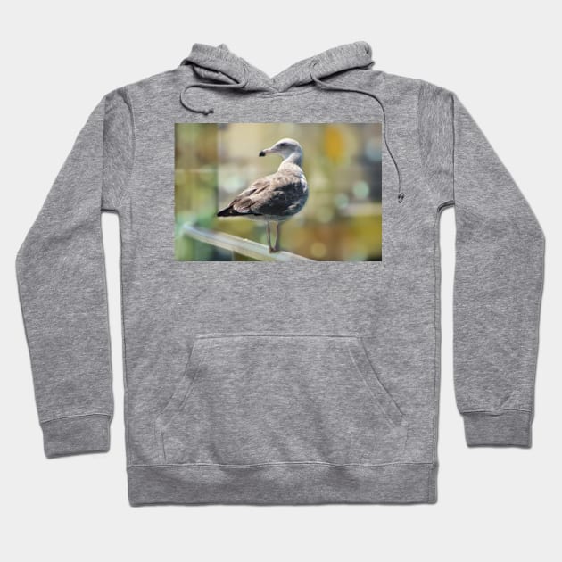 Sea Gull on Rail Hoodie by ButterflyInTheAttic